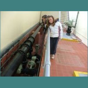 Water plant 010.jpg